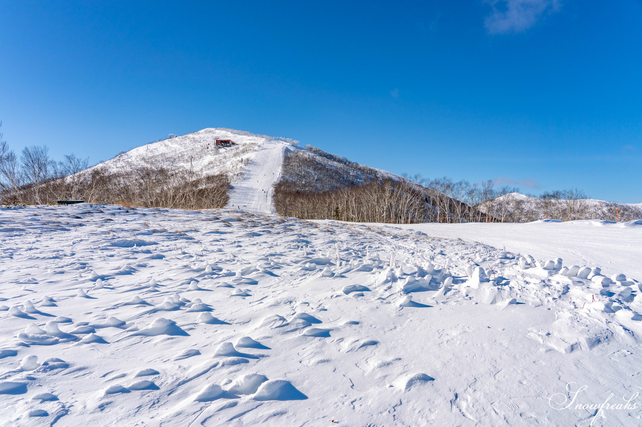 十勝サホロリゾート 快晴の空の下、極上の粉雪クルージングバーンを心ゆくまで味わう１日(*^^*)